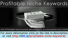 profitable niche market